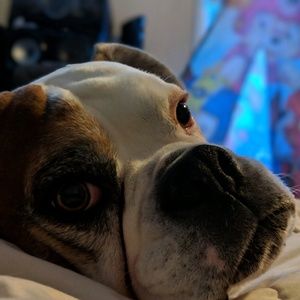 Meet your Posher, Janie